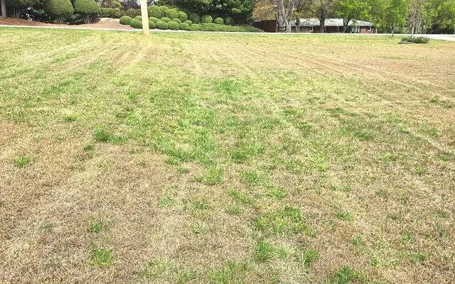 LawnSkapers. local landscape maintenance and outdoor services for the Greenville Upstate